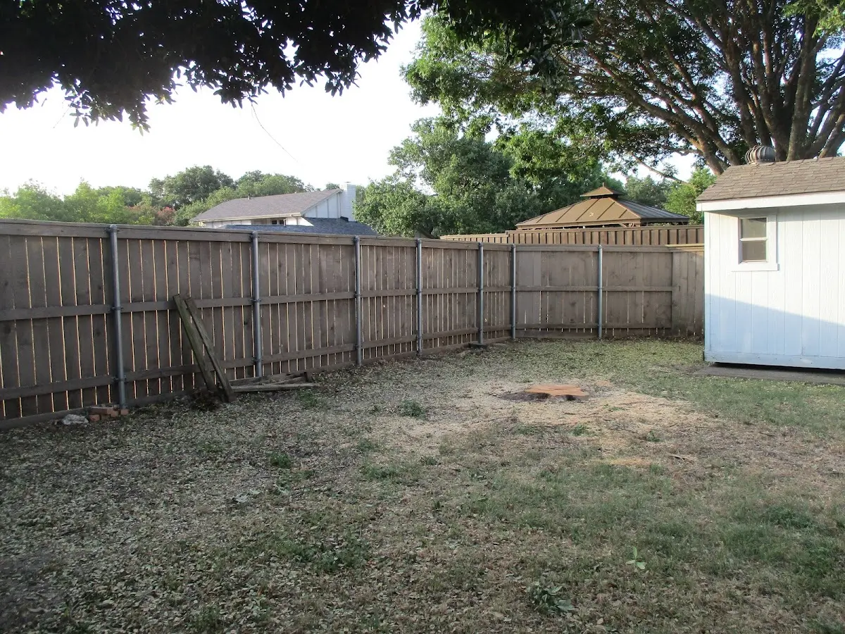 Cleared yard after professional tree removal in Marienville